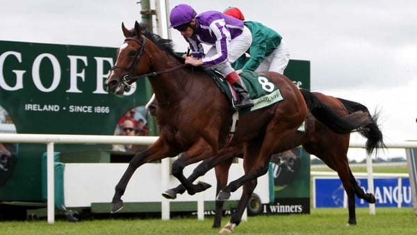 St Nicholas Abbey has failed to build on his outstanding run in the Racing Post Trophy last season