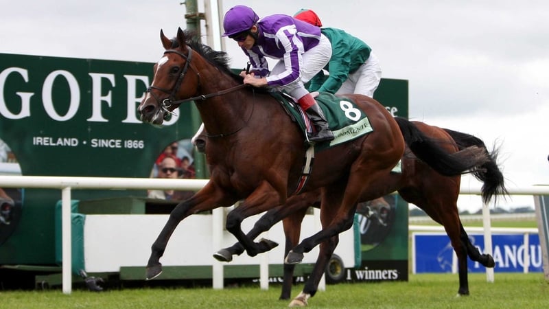 St Nicholas Abbey has failed to build on his outstanding run in the Racing Post Trophy last season
