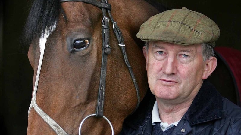 Tommy Stack's Alive Alive Oh will be a warm order to take the feature race at the Curragh on Sunday