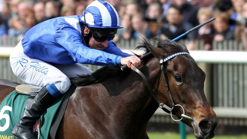 Michael Jarvis is hoping first-time blinkers could work the oracle on Elzaam