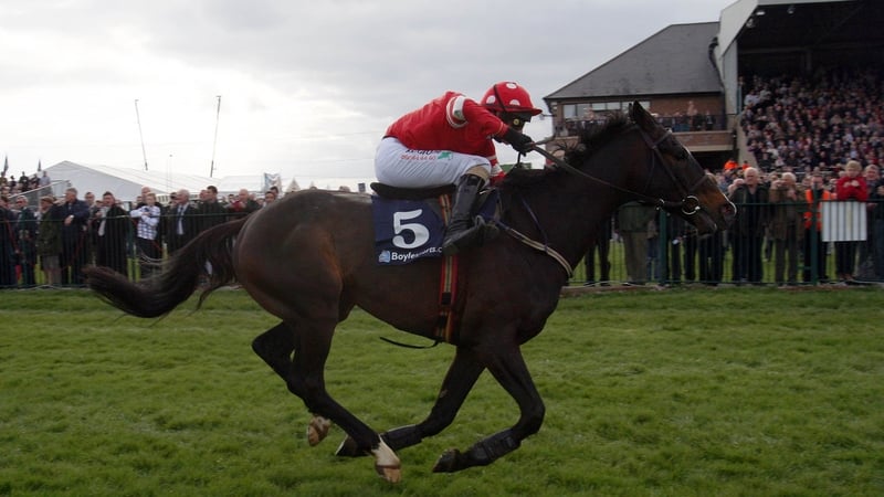 Golden Silver - fortuitous winner of the Hilly Way Chase