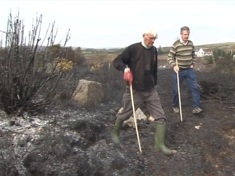 Moycullen - Damage to several hundred acres of bogland