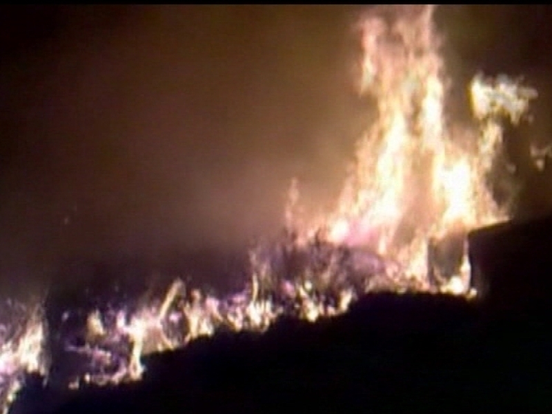 Galway - Forest fire last week