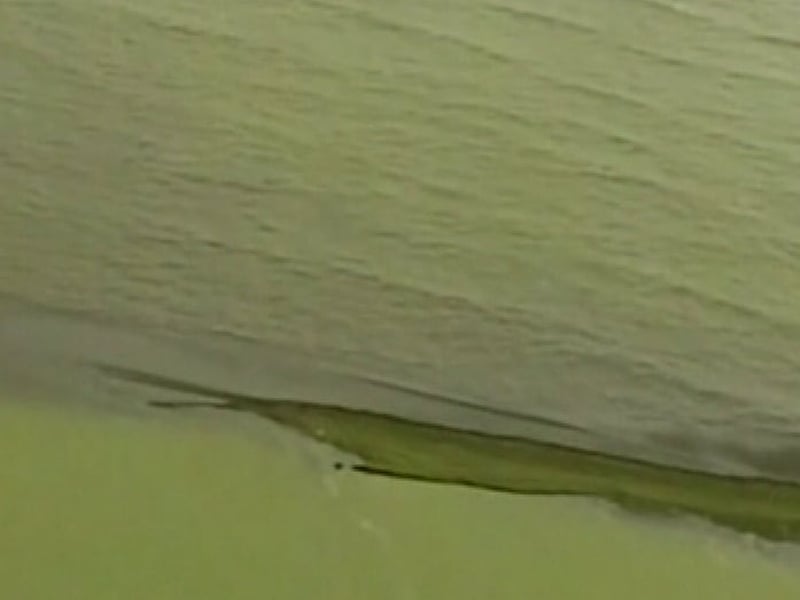 Oil slick - Concerns over environment