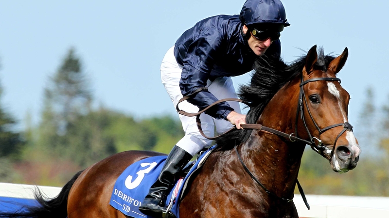 Recital overcame greenness to score in what is often an informative maiden at Navan