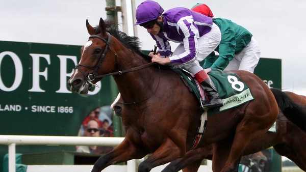 St Nicholas Abbey (nearest) was all the rage for Classic success at the start of the season