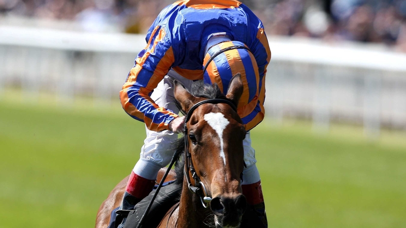 Steinbeck's long absence from the track makes him a risky betting proposition this weekend