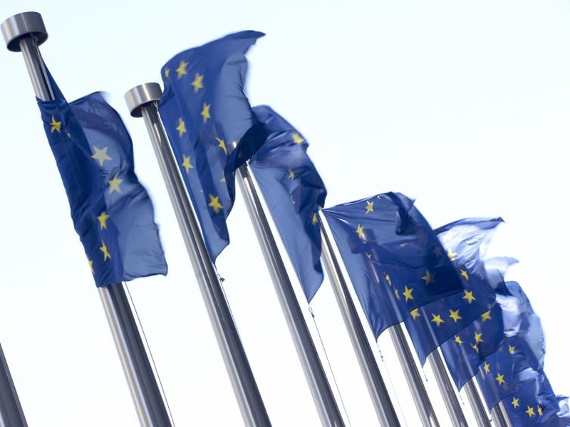 EU - Govt, FG clash over proposals