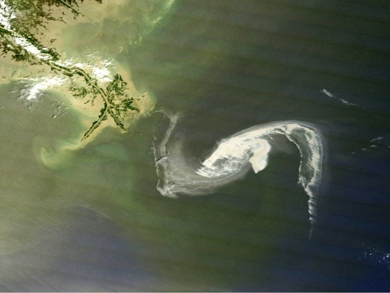 Gulf Coast - Oil spill began a month ago