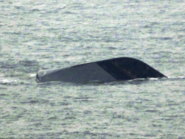 Cheonan - 46 sailors killed