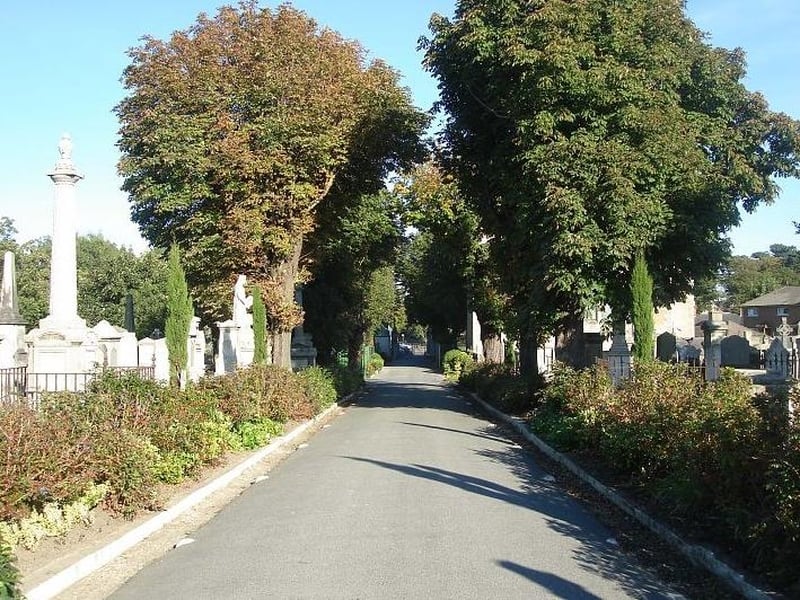 Mount Jerome - 40 infants from the home buried in the cemetery
