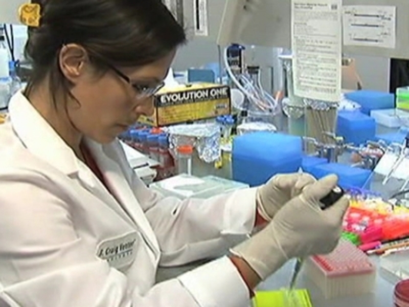 Artificial Life - Development of a synthetic organism