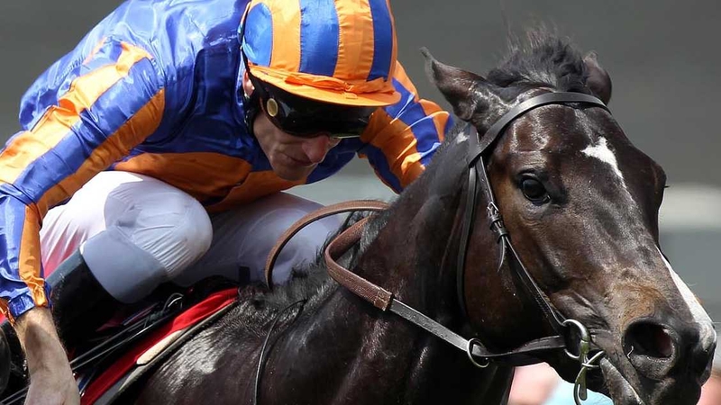 The progressive Await The Dawn seems certain to represent Michael Tabor in the Champion Stakes