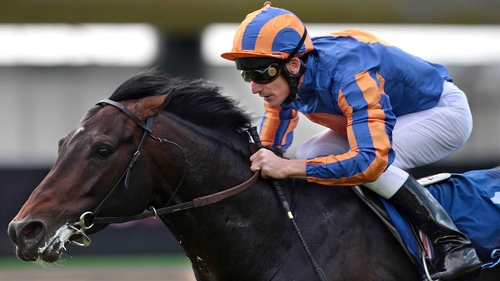 Jan Vermeer could give Aidan O'Brien a fifth successive Irish Derby win