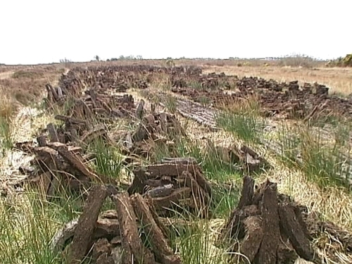 Turf cutting - 55 bogs affected by decision