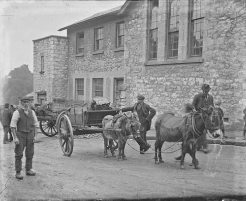 Donkeys - National Library of Ireland - Clarke Collection