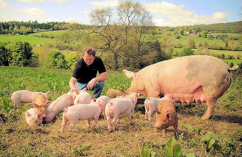 Co-owner Alan Pierce on Gold River Farm