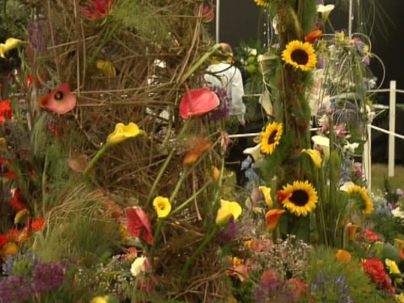 Bloom Festival - 24 show gardens on display