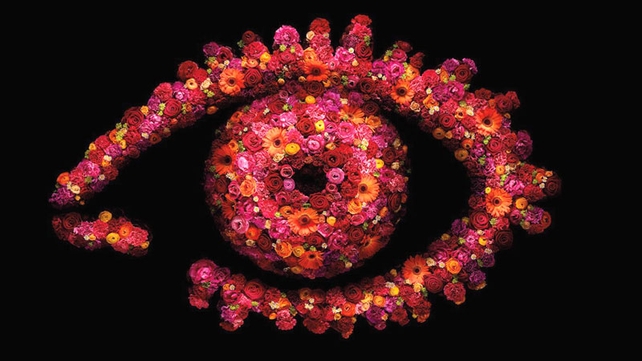 Top 10 Big Brother Housemates