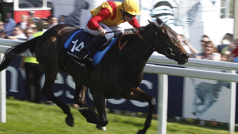 Snow Fairy will next go at the Irish Oaks