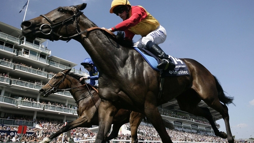 Snowy Fairy willl run in the Darley Irish Oaks