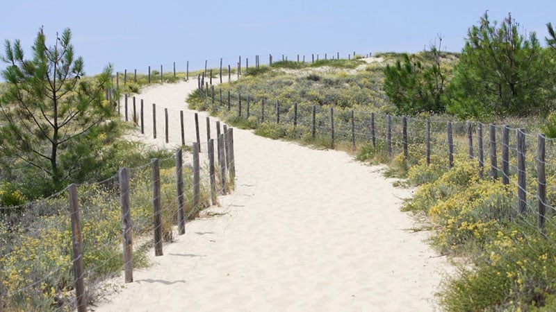 Xavier, Gina and Martha are in danger