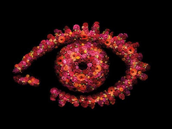 Big Brother launches on Channel 4 at 9pm tonight.