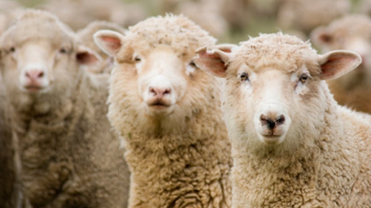 Proposed changes to the EU Common Agricultural Plan budget