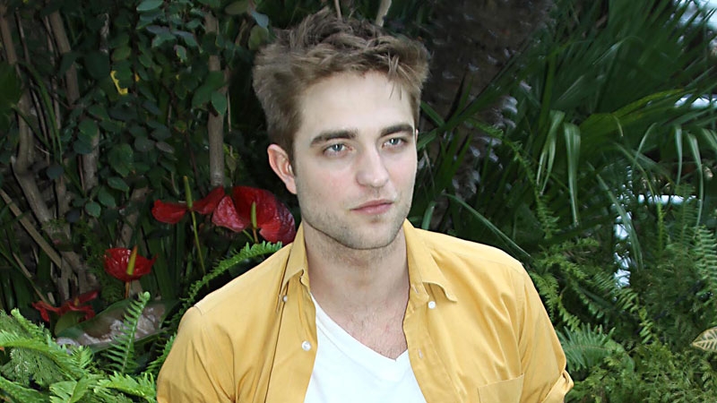 Pattinson - Co-star says he is "so nice"