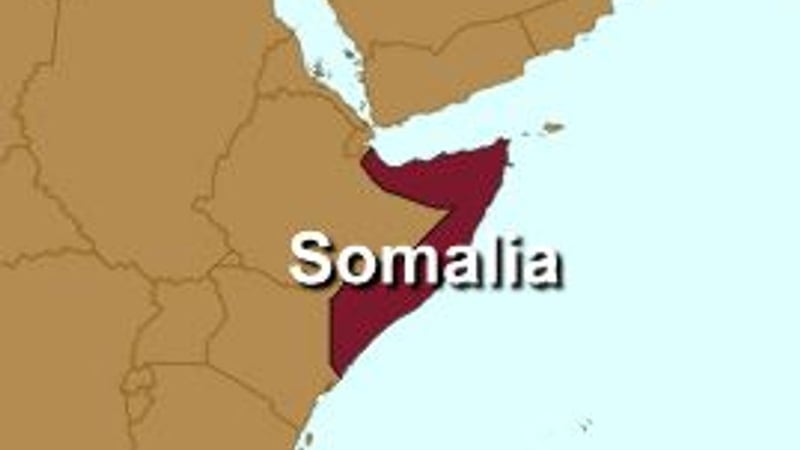 Confusion surrounded early reports of the botched rescue of the agent, known by his code-name Denis Allex