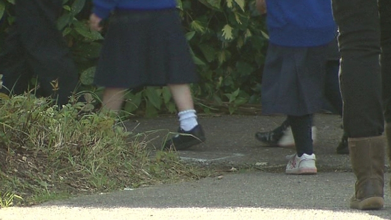 Red C survey carried out for the Irish Primary Principals' Network