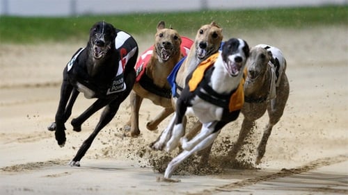 Harold's Cross track will be sold as IGB combats debts of over €20m
