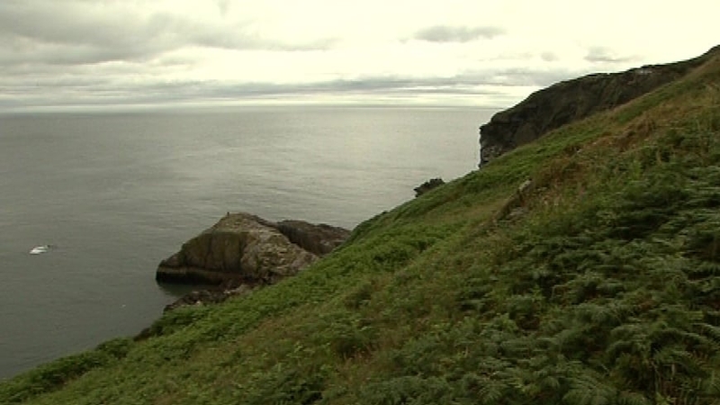 Howth Head - Tourist spotted man fall from cliff