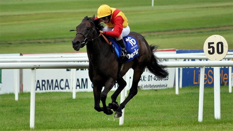 Snow Fairy cuts back half a mile in trip after failing to stay in the St Leger last time out