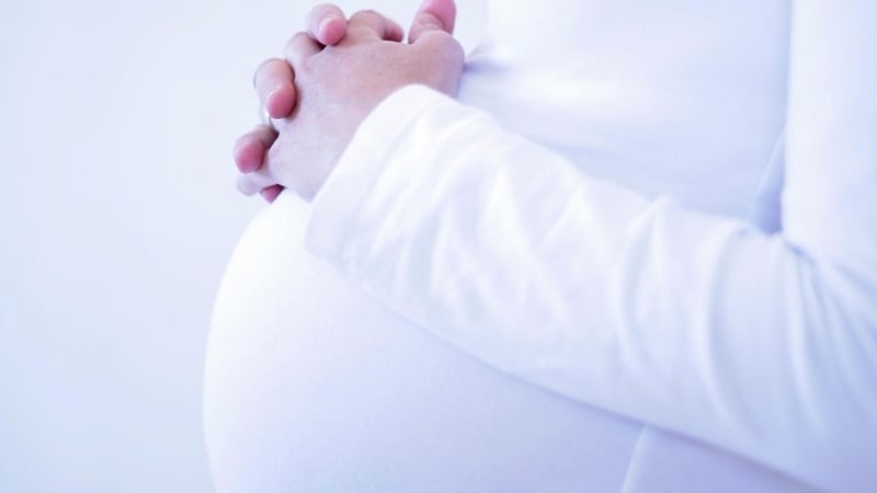 "Life in the Womb", built by The Science Picture Company, has been nominated for a Webby