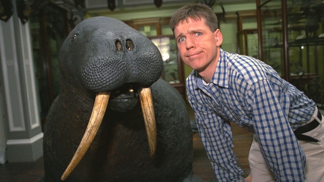 The Vault: Derek Mooney