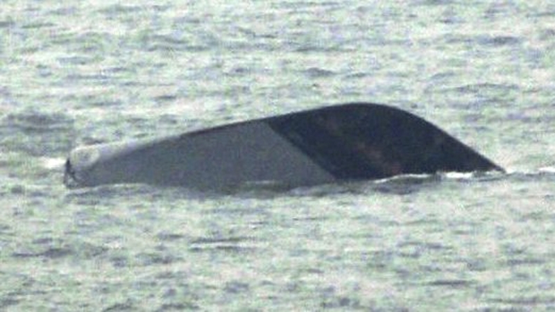 Sinking - In one of the clips, North Korea denies allegations that it sank a South Korean warship