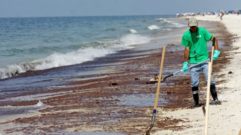 Gulf of Mexico - Massive oil spill crippled local fishing and tourism industries