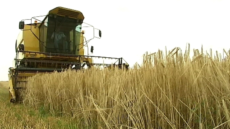 Tillage farmers have called for help