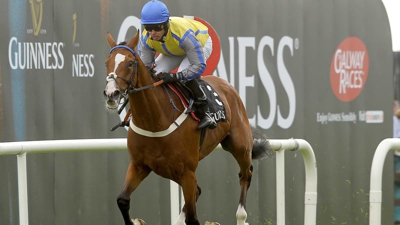 Overturn - could run in the Chester Cup before bidding to retain Galway Hurdle crown.
