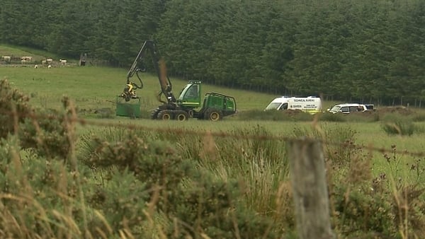 Blessington - Discovery in wooded area