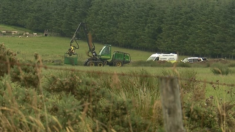 Blessington - Discovery in wooded area