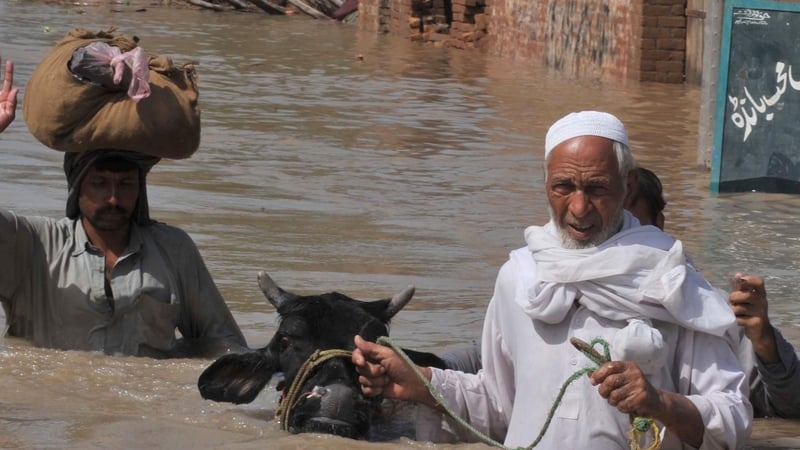 Pakistan - Death toll rises