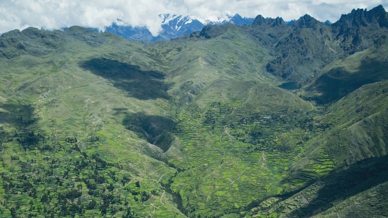 An audit has revealed 11,676 different tree species, but scientists think there are 4,00 more