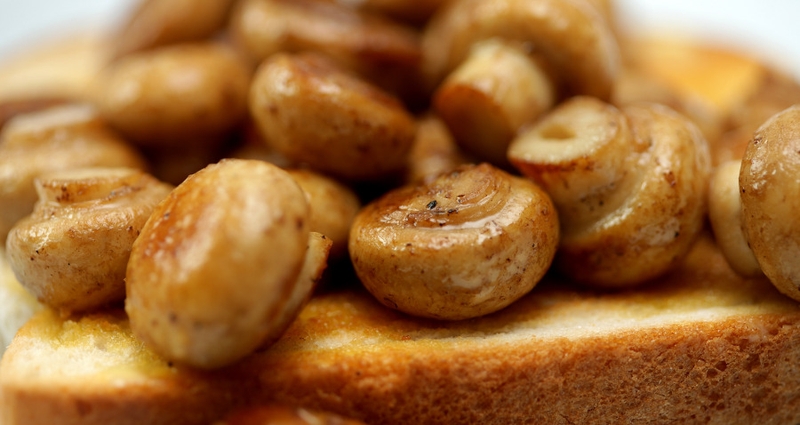 Lower mushroom profits for Donegal Creameries