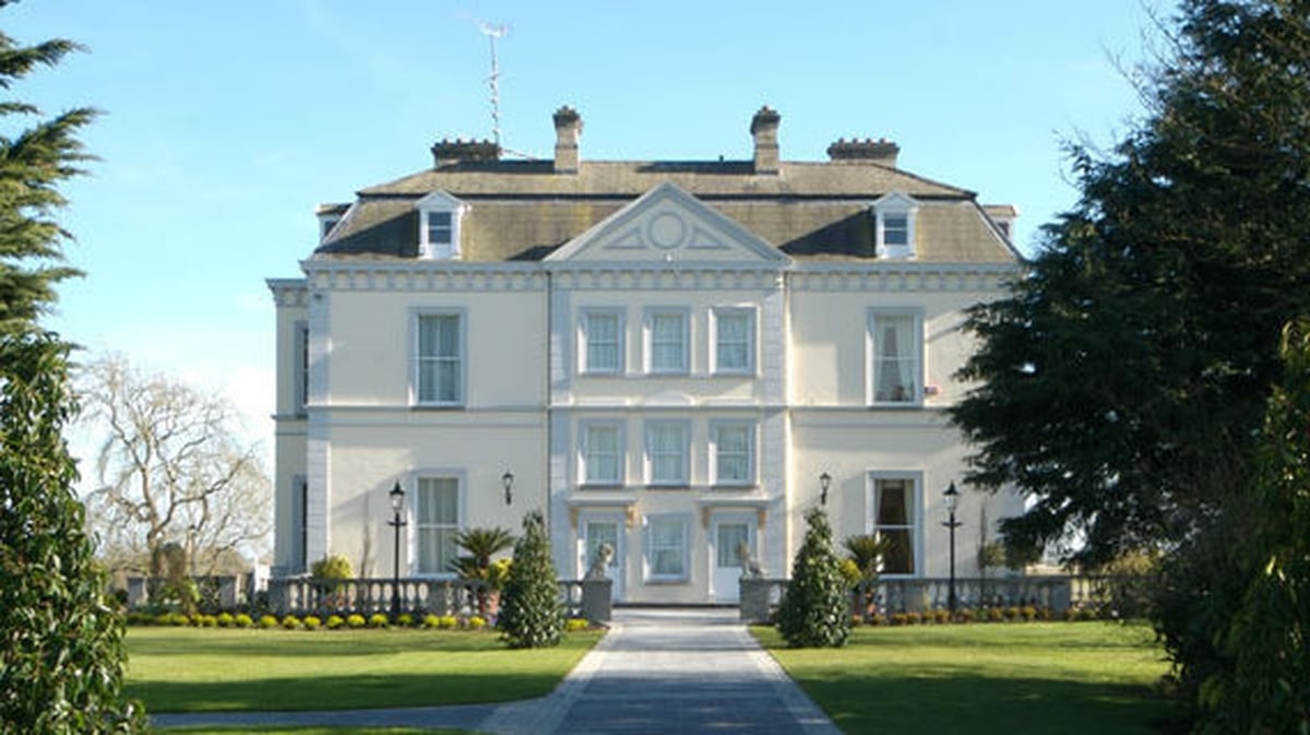 In the Shadow of New Forest