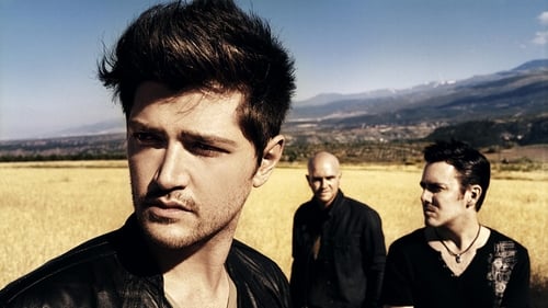 The Script