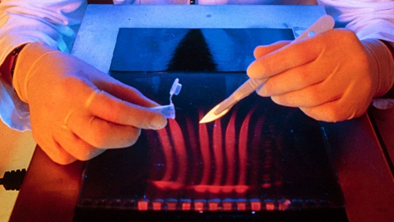 14th century Black Death genetically decoded