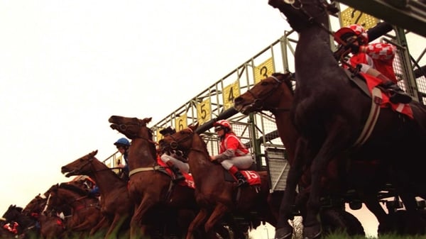 Stalls handler dies after accident at Haydock