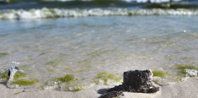 Oil spill - BP seeks $40 billion in damages